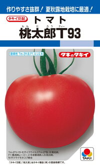 着果性と作りやすさ抜群の夏秋用完熟トマト！ タキイ種苗 トマト 桃太郎T93 100粒