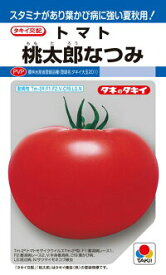 タキイ種苗 トマト 桃太郎なつみ DF