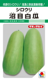 タキイ種苗 シロウリ 白瓜 沼目白瓜 GF