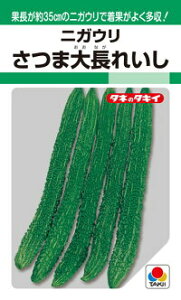 ^LCc S[ jKE ܑ咷ꂢ 1L