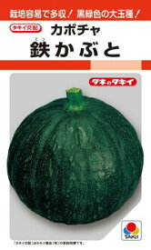 楽天市場 メロン 台木の通販