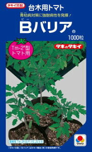 ^LCc  g}gp BoA ybg 2L 1000