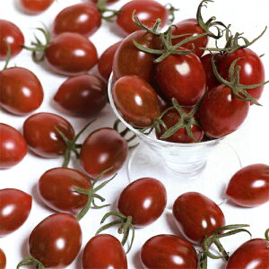 TJ^̃^l g}g Ƃ܂Ɓ@`RACR@