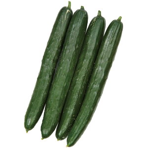 TJ^̃^l LE ӉZ イ@ǂ񂱕aɋߐn@