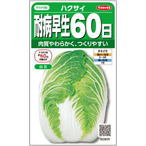 TJ^̃^l nNTC  ϕa60@