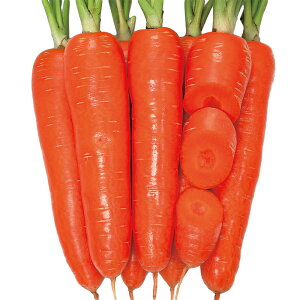 TJ^̃^l jW lQ ɂ񂶂@͂Ȃ@