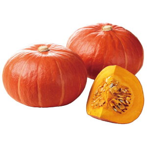 TJ^̃^l@J{` Z ڂ@ׂɂ@100