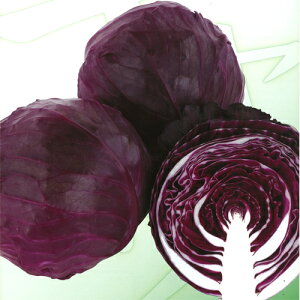 TJ^̃^l Lxc × ׂ@bhuCg@