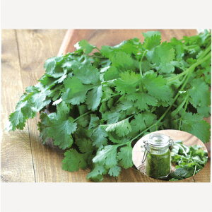 TJ^̃^l pN`[@ςς@1L