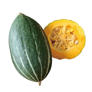 TJ^̃^l@J{` Z ڂ@XC[g^bN@