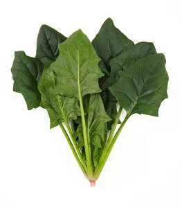 TJ^̃^l zE\E @@ ق񂻂@X[p[Z[u@M3