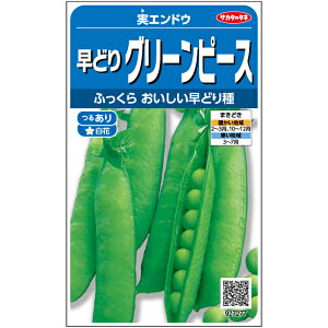 TJ^̃^l GhE@ǂO[s[X@