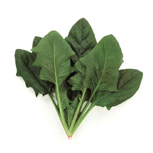 TJ^̃^l zE\E @@ ق񂻂@ANeBup[@M3