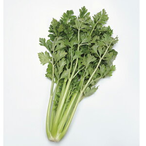 TJ^̃^l Z@R[lAX@ybg5000