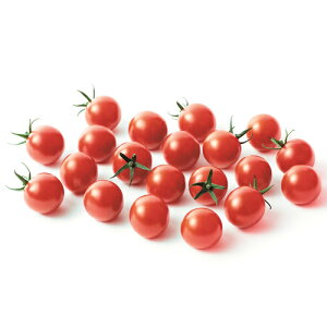 TJ^̃^l g}g Ƃ܂ ~j@L||@PRIMAX 1000