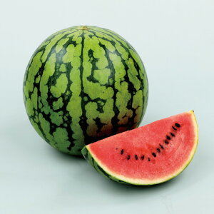 TJ^̃^l XCJ Z @g@(ʃXCJ)@
