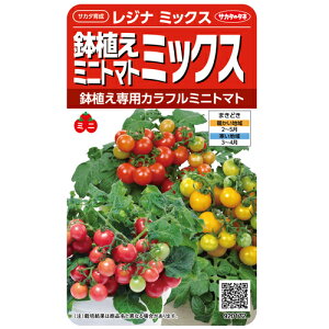 TJ^̃^l g}g Ƃ܂Ɓ@Wi~bNX@