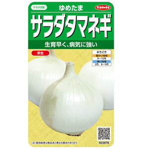 TJ^̃^l T_^}lM ߂܁@2dl