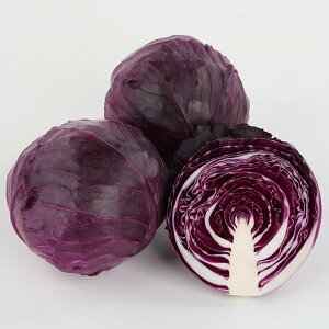 TJ^̃^l Lxc × ׂ@bhuCg@2000