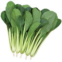 サカタのタネ コマツナ 小松菜 こまつな　さくらぎ　2dl