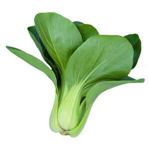 TJ^̃^l `QTC [ 񂰂񂳂@@20ml