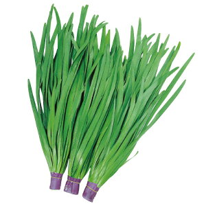 TJ^̃^l j B tɂ O[[h 