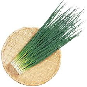 �T�J�^�̃^�l �l�M �K ���� 20ml