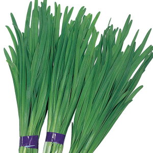 TJ^̃^l j B O[[h 2dl