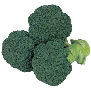 �T�J�^�̃^�l �u���b�R���[ �O���[���L���m�� �y���b�g5000��