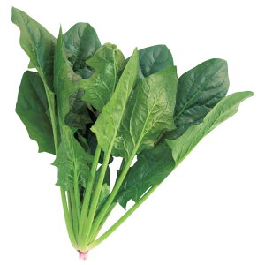 TJ^̃^l zE\E @@ ق񂻂@nCh@3