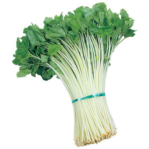 TJ^̃^l ~co s݂΁@