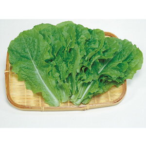 TJ^̃^l [t^X `}ET` 1dl