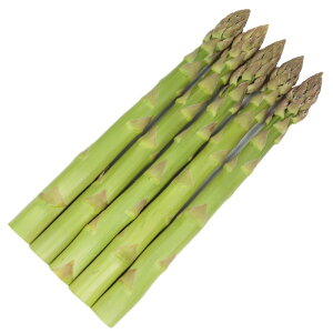 TJ^̃^l AXpKX EFJAT@1000