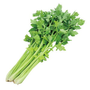 TJ^̃^l Z@~coA@ybg5000