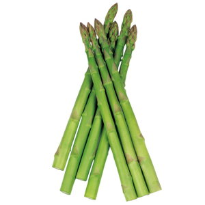 TJ^̃^l AXpKX@nCp[EFJ@1000