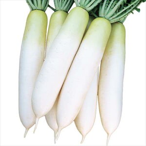 TJ^̃^l _CR  卪@t̎@ybg5000