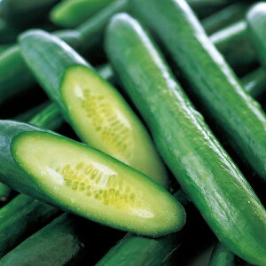 TJ^̃^l LE ӉZ t[_ 350