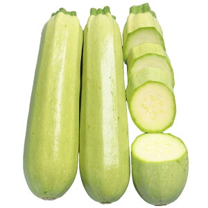 TJ^̃^l YbL[j@I[uO}@