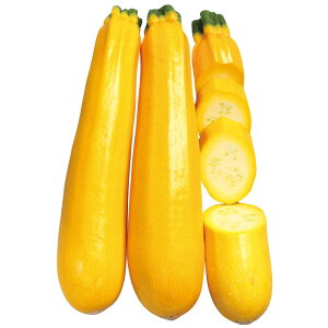 TJ^̃^l YbL[j@CG[O}@