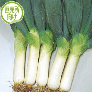 TJ^̃^l lM K ˂@鉺mc@
