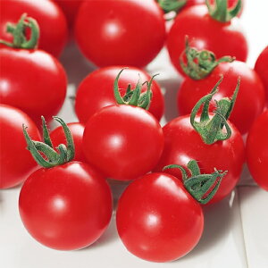 TJ^̃^l g}g Ƃ܂Ɓ@LpbV@