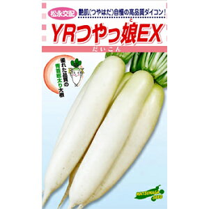 ic _CR 卪 @YREX@R[g5000