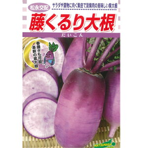 ic _CR 卪 @@R[g5000