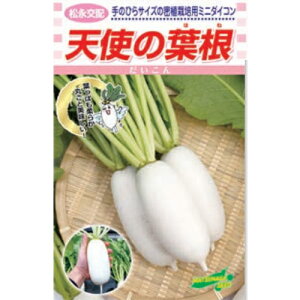ic _CR 卪 @Vg̗t@