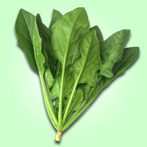 ic zE\E ق񂻂 @@@ȂȂ@