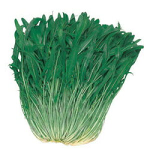 ic ~ui ݂Ԃ p؁@Ӑۗtp؁@10L