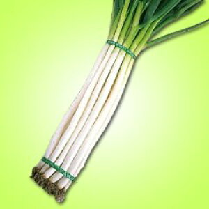 ic lM ic lM ˂ K@zÔK@1L