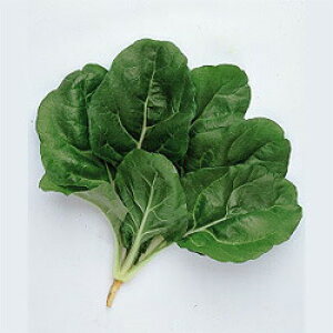 ic t_\E ӂ񑐁@stӂ񑐁@1dl