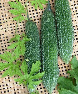 ic jKE ɂ Z@F1 S[ ߐ Vā@100