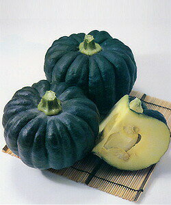 ic J{` ڂ Z@ɑ΂߁@